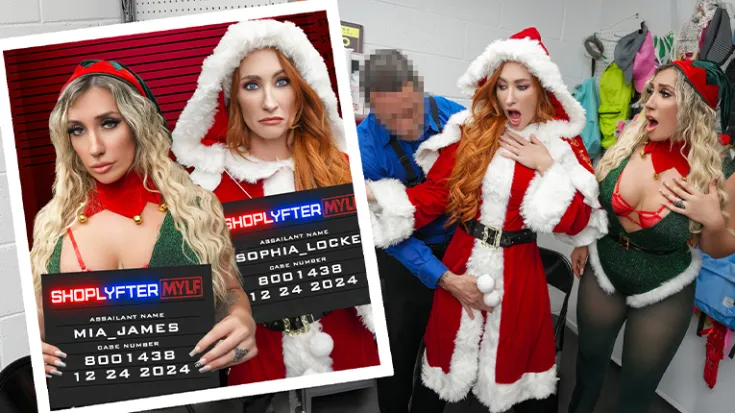 Name: Case No. 8001438 - Ho Ho Holiday Thieves